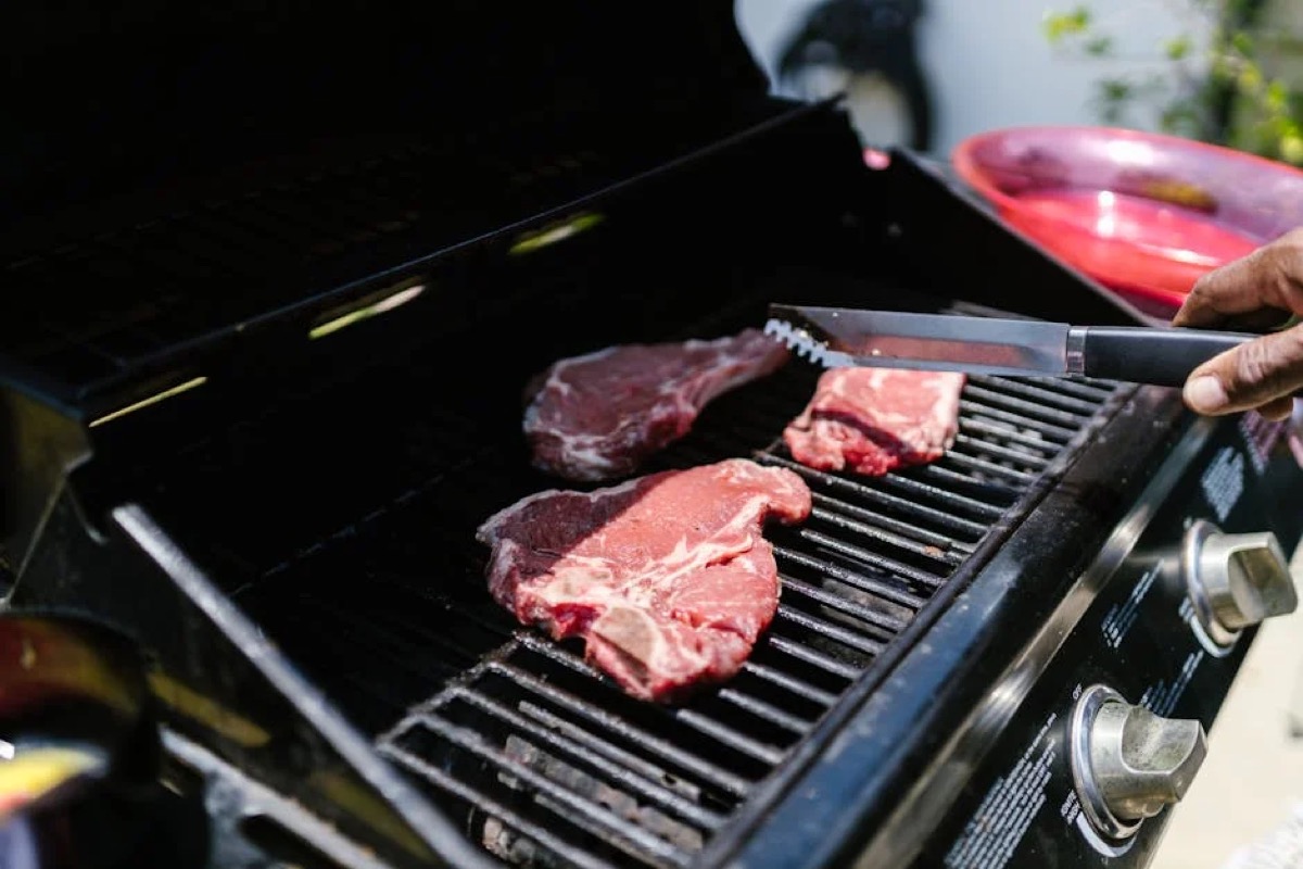 Best Propane Grills: A Buyer's Guide to Top Models