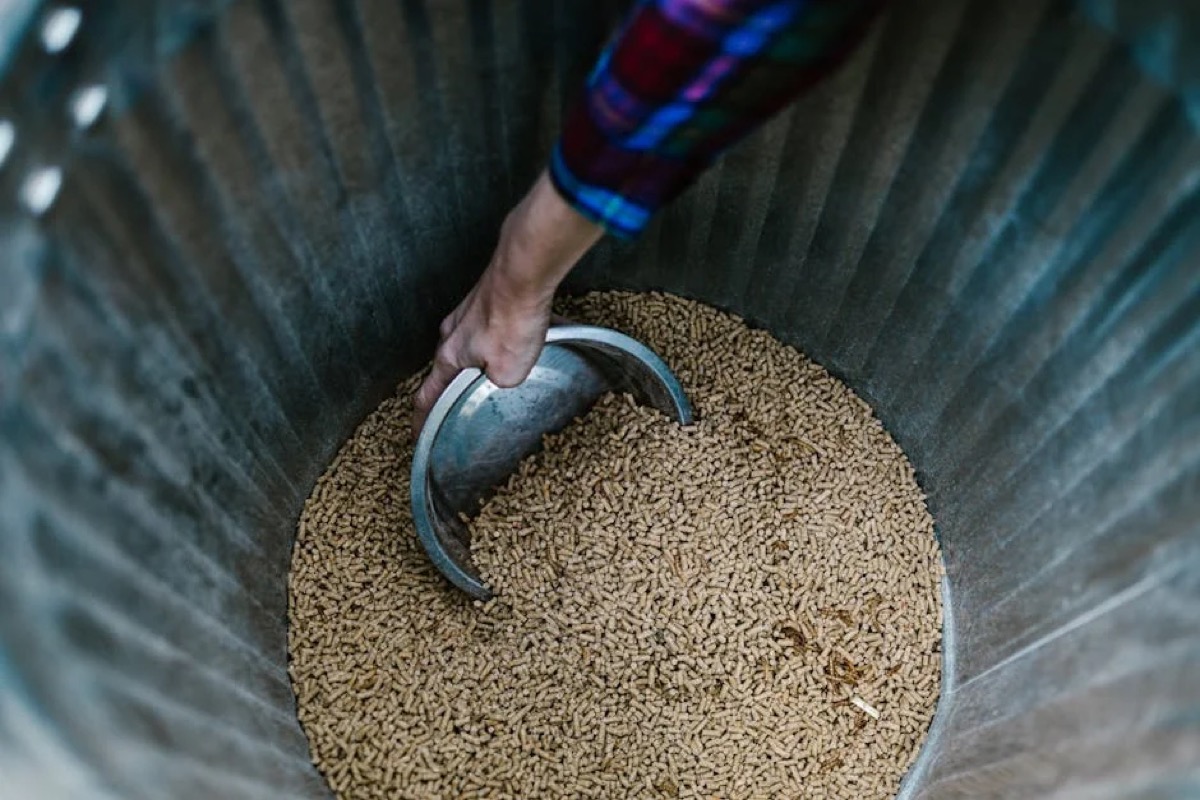 Wood Pellet Grill Buyer's Guide: What Actually Matters