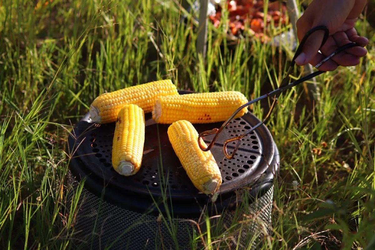Portable Camping Grill Buyer's Guide: Top Picks Tested