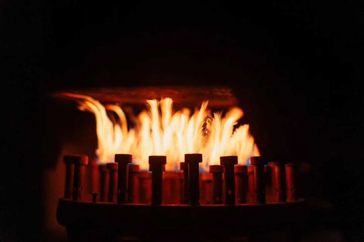 Propane Smoker Buyer's Guide: Heat Control Without the Hassle