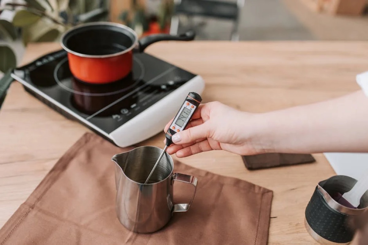 Weber Grill Thermometer Buyer's Guide: Find the Right Fit