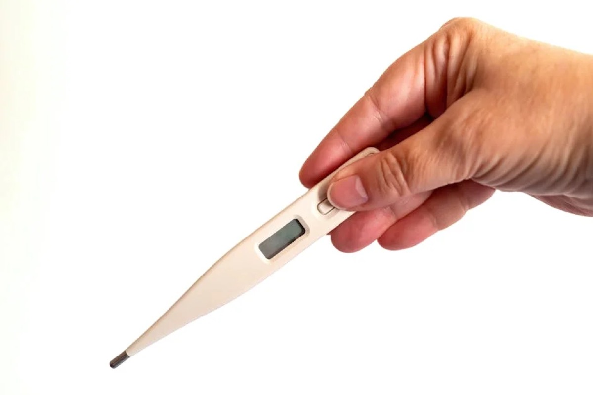 Best Wireless Meat Thermometers for Grill and Smoker